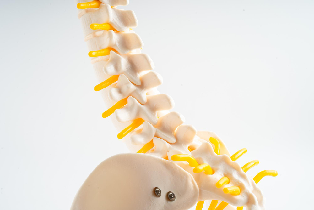 The Benefits of Spinal Decompression in Scoliosis Treatment