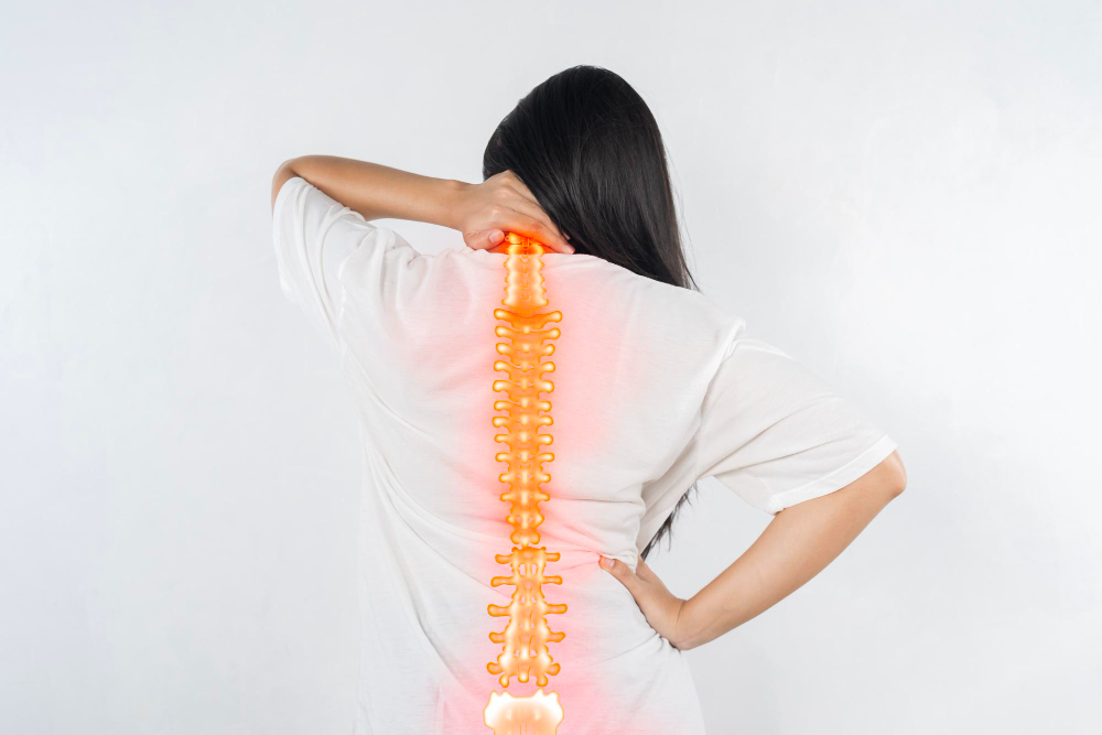 Understanding the Role of Chiropractors in Scoliosis Treatment